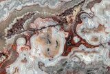 Polished Crazy Lace Agate Slab - Mexico #227616-1